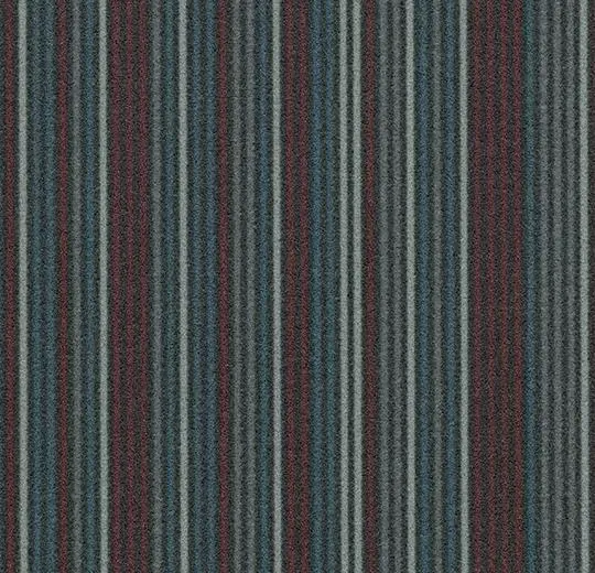 t550006 Complexity marine